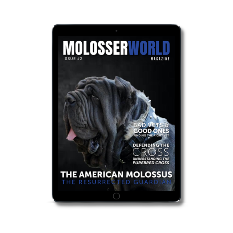 molosser world3